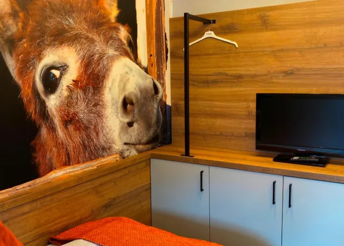 Hotel Elisabetha Garni